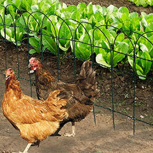 Load image into Gallery viewer, Amagabeli 0.4M x 25M clôture de Bordure de Jardin Vert 2.95mm RAL6005 Fil métallique Enduit de PVC clôture Filet antirouille pour barrière extérieure pour Animaux de Fleurs HC02
